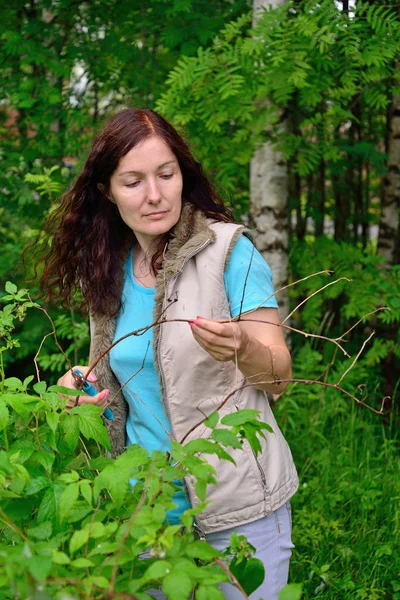 The girl with the green thumb thoughtfully cut shears dry from t