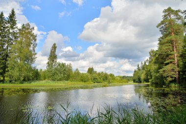 Bulutlar ve ağaçlar nehir Oredezh amo suya yansıyan