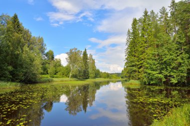 Mavi gökyüzü, bulutlar ve nehir suya yansıyan orman 