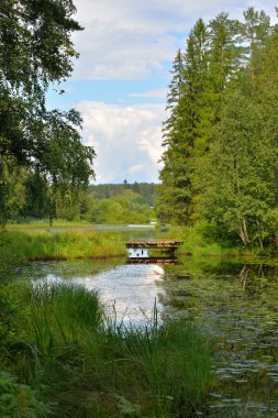 Bir yaz gününde orman Nehri üzerinde ahşap köprü