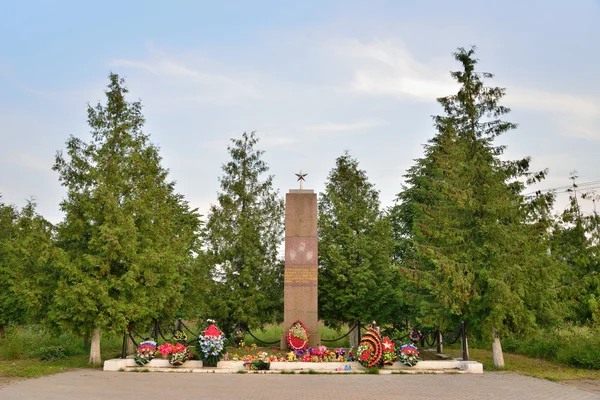 Das Denkmal im Dorf Wyriza Leningrader Kinder des Herzens — Stockfoto