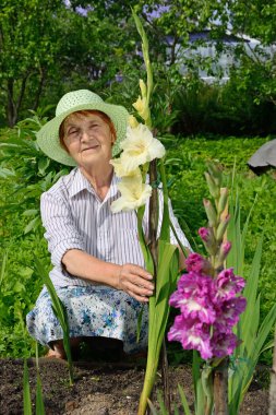 Yaşlı bir kadın beyaz Glayöl giderek artan tutar.
