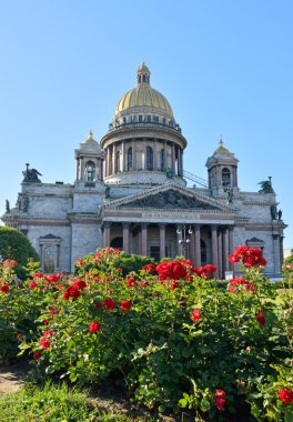 Kare parlak güneşli mavi gökyüzü altında kırmızı gül bir arka plan üzerinde St. Isaac's Cathedral