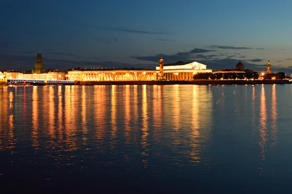 Panoramablick auf die Landzunge der Insel Wassiljewski, Rostralsäule — Stockfoto