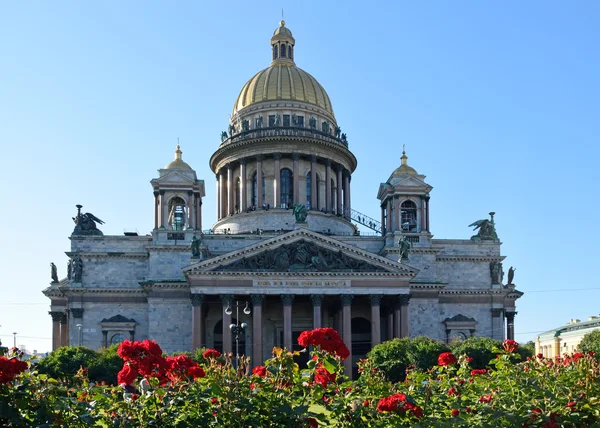 Catedral de São Isaac em um contexto de rosas vermelhas no dia ensolarado brilhante quadrado abaixo do céu azul — Fotografia de Stock