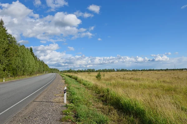 Vyritsa kırsal yol alan ve orman gün güneşli yaz arasında