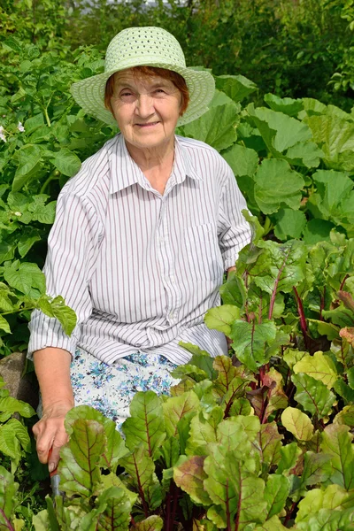 Una anciana sonríe junto a una cama de remolacha —  Fotos de Stock