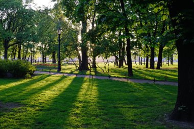 Oyun Admiralty Park St Petersburg güneş ışınlarının