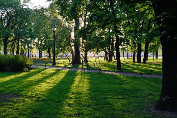 在圣彼得堡金钟公园玩阳光 — 图库照片