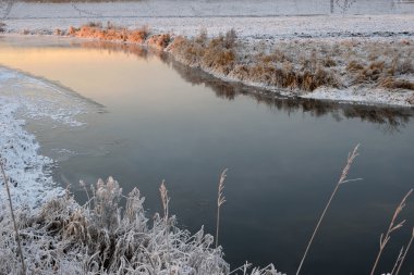 Nehir Kuru otların arasında kristalleri