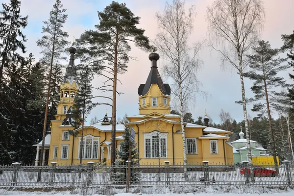 View of the Church of the Holy Aposters Peter and Paul — стоковое фото