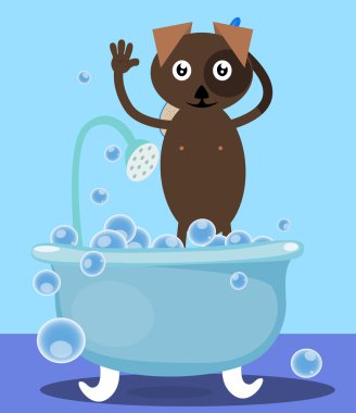 duş alırken köpek