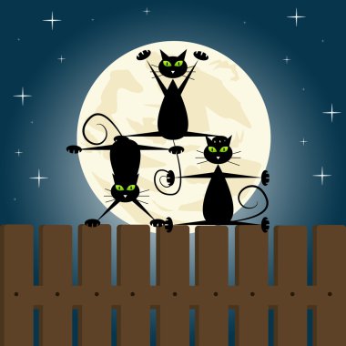 Black cats on a fence