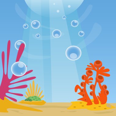 Muhteşem Sualtı dünyasını