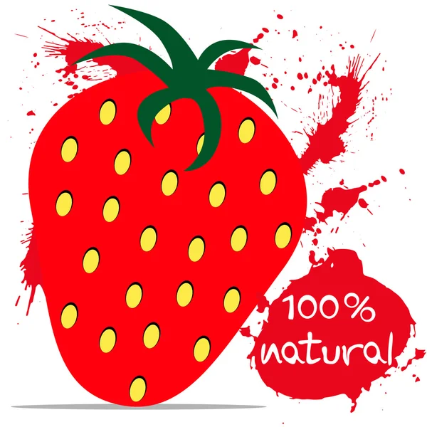 Fresa 100% natural — Vector de stock