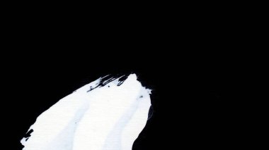 Siyah arkaplan zen tarzı arkaplan ve doku üzerinde dinamik beyaz fırça darbeleri