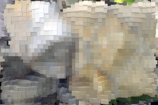 Pixelated Πολύχρωμο Ζωντανό Φόντο Για Διαδίκτυο Πανό Εικόνες — Φωτογραφία Αρχείου