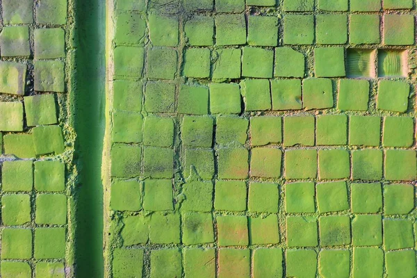 Bemalte Grüne Mosaik Ziegelsteinwand Mit Lebendigen Farben Für Kreativität Fantasievolle — Stockfoto