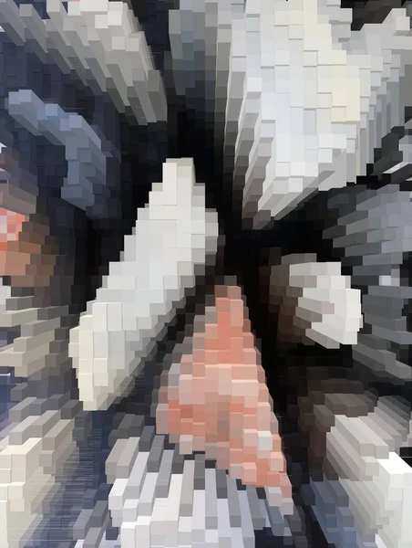 Pixelated Πολύχρωμο Ζωντανό Φόντο Για Διαδίκτυο Πανό Εικόνες — Φωτογραφία Αρχείου