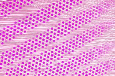 Güzel yaratıcı bir arka plan. Canlı, soyut bir dokunun yansıması. Pankart, poster, el ilanı, kart, kartpostal, kapak, broşür için desen tasarımı. Renkli soyut arka plan. Canlı ve neşeli..