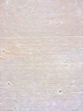 Spektral çizgilerin arkaplanı. Çizgileri olan canlı ve soyut dokunun bir tasviri. Pankart, poster, el ilanı, kart, kartpostal, kapak, broşür için desen tasarımı. Renkli ışınlar soyut arkaplan.