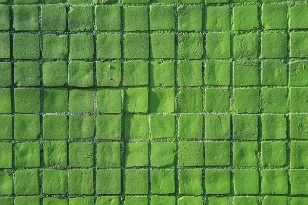 Yaratıcılık, yaratıcı altyapı ve fikirler için canlı renklerle boyanmış yeşil mozaik tuğla duvar.