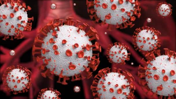 Coronavirus 2019 Ncov Romanı Coronavirus Konsepti Grip Salgını Koronavirüs Gribi — Stok video