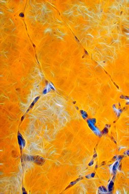 Soyut ışık ve lazer ışınları, fraktallar ve parıldayan şekiller hayal gücü, yaratıcılık ve tasarım için çok renkli sanat arkaplan dokusu. Baskı, web, poster, kartpostal, oyun, sanat için yaratıcı fikirler.