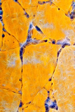 Soyut ışık ve lazer ışınları, fraktallar ve parıldayan şekiller hayal gücü, yaratıcılık ve tasarım için çok renkli sanat arkaplan dokusu. Baskı, web, poster, kartpostal, oyun, sanat için yaratıcı fikirler.