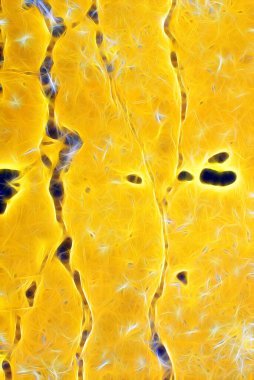 Soyut ışık ve lazer ışınları, fraktallar ve parıldayan şekiller hayal gücü, yaratıcılık ve tasarım için çok renkli sanat arkaplan dokusu. Baskı, web, poster, kartpostal, oyun, sanat için yaratıcı fikirler.