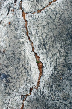 Yaratıcı arka planlar ve fikirler için asfalt dokusunu kapatın. Baskı, web, kartpostallar, posterler, el ilanları, oyun dokuları için elverişli.