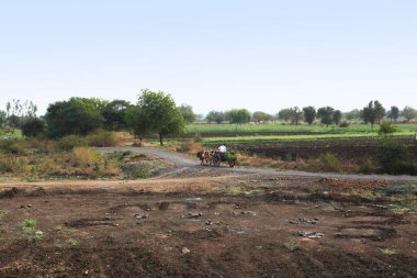 Hindistan 'ın kırsal bölgeleri güneşli bir günde