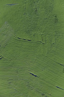 Yeşil lahana rengini boyamak, ilginç, yaratıcı ve yaratıcı arka planlar için fırça darbeleri. Web ve tasarım için.