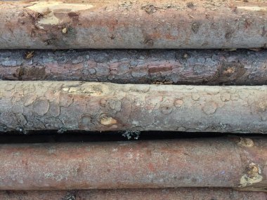 İlginç arka plan fikirleri için ahşap kütükler yığılır.