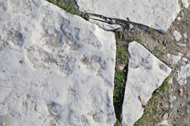 Çatlaklı beyaz taş kaldırımlar.