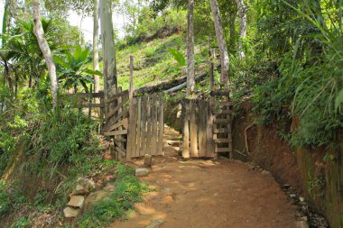 Hindistan 'ın kırsal bölgeleri güneşli bir günde