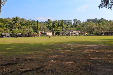 Hindistan 'ın kırsal bölgeleri güneşli bir günde
