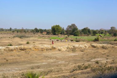 Hindistan 'ın kırsal bölgeleri güneşli bir günde
