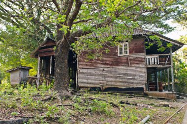 Hindistan 'ın kırsal bölgeleri güneşli bir günde