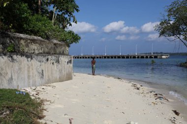 Hint okyanusunun güzel bir sahili üzerinde duran bir adam.