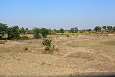 Hindistan 'ın kırsal bölgeleri güneşli bir günde