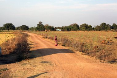 Hindistan 'ın kırsal bölgeleri güneşli bir günde