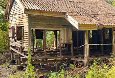 Hindistan 'ın kırsal bölgeleri güneşli bir günde