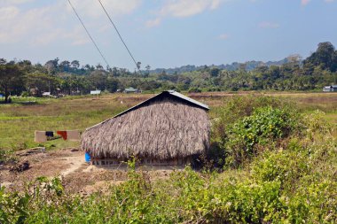 Hindistan 'ın kırsal bölgeleri güneşli bir günde