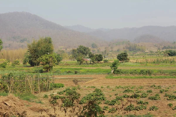 indian rural landscape at daytime