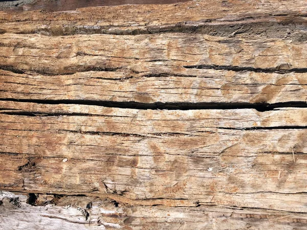 Aged Wood Plank Interesting Backgrounds Textures Creative Print Web Ideas — Stock Photo, Image