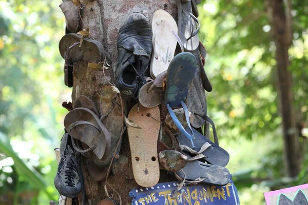 Close Árvore Com Sapatos Fundo Natureza — Fotografia de Stock