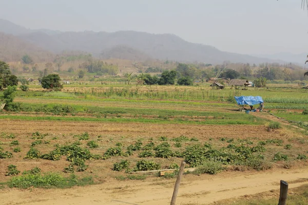 indian rural landscape at daytime