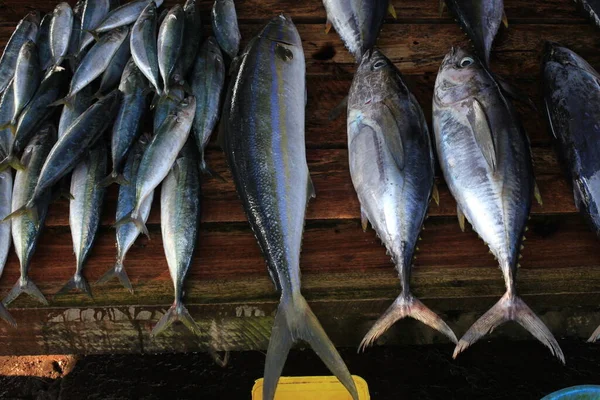 Pescados Crudos Para Cocinar Mercado — Foto de Stock