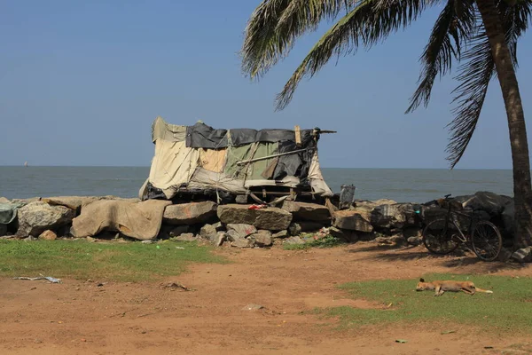 Hindistan kırsal evleri manzaralar